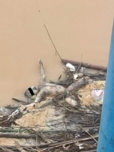 Bocah Tenggelam di Sungai Merangin Ditemukan tersangkut di ranting kayu