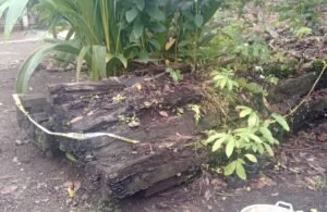 Kuasa Hukum Iskandar Merasa Kecewa, Barang Bukti Tidak Ada Ditempat