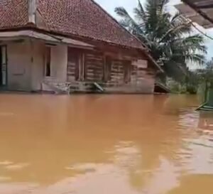 Desa Sematu Kebanjiran Lsm Peko: Dimana Bantuan Pemerintah