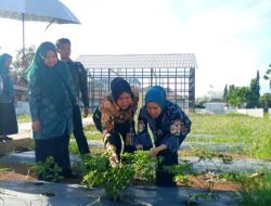 Taman Inflasi, Inspirasi Dukung Ketersediaan Pangan