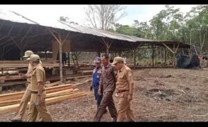 Tim Gabungan Pemda Muratara Lakukan Peninjauan Terhadap Rencana Pembangunan Pabrik Pengolahan Kayu