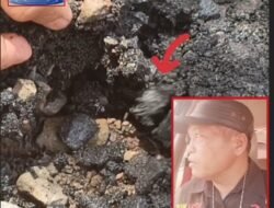 Kualitas proyek pengaspalan parkir di Dinas Kesehatan Pemkab Musi Rawas menuai sorotan.