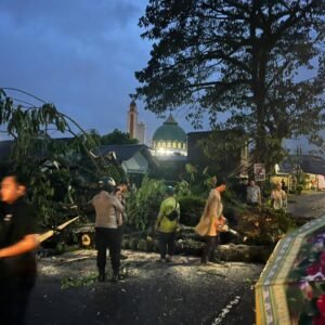 Cuaca Ekstrem, Pohon Tumbang Lumpuhkan Jalan di Lubuk Linggau Polisi, Damkar, dan Warga Bersatu Pulihkan Akses Lalu Lintas